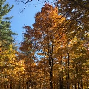 Meet your Posher, Murat